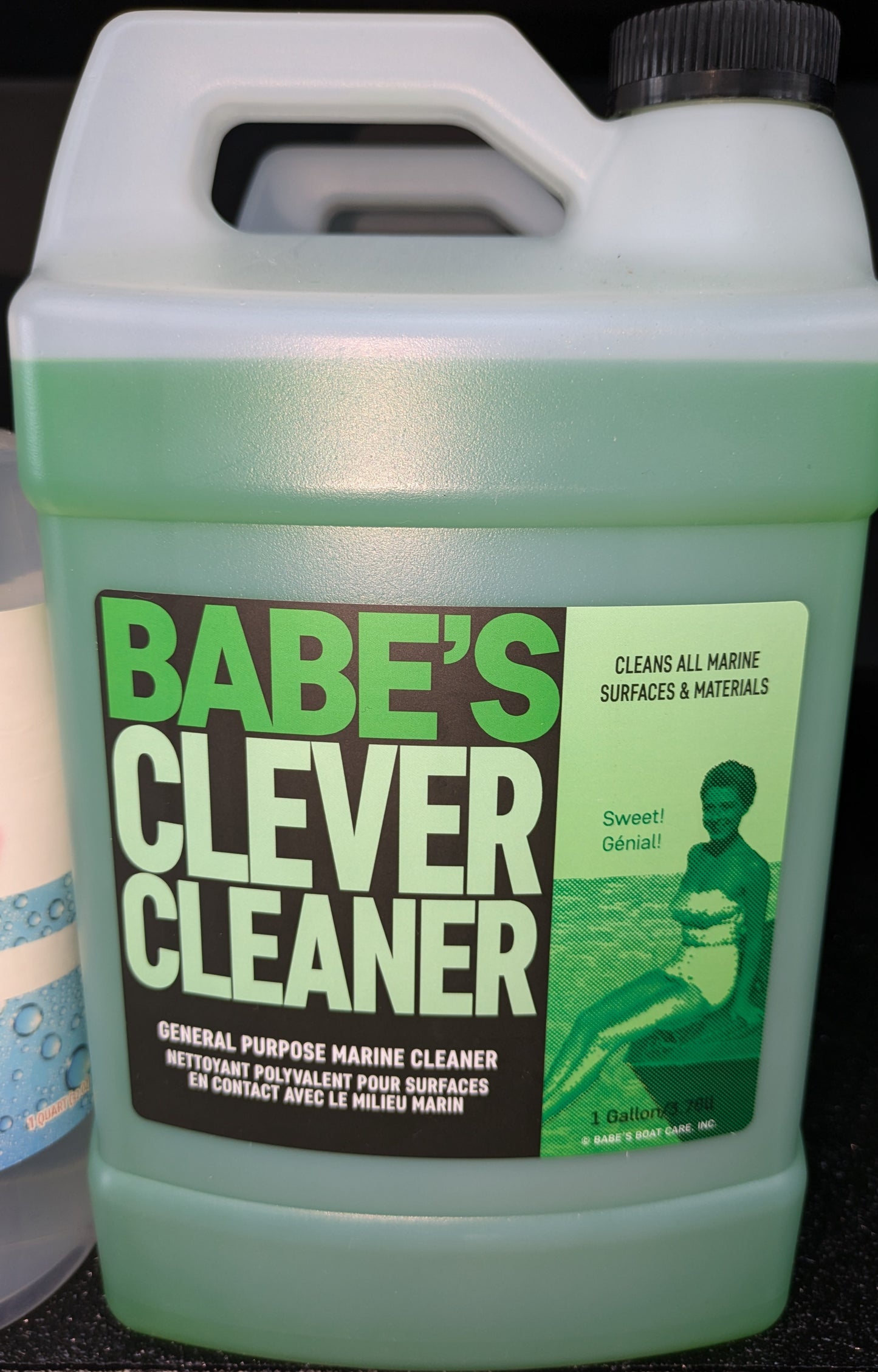 Babe's Clever Cleaner Gal